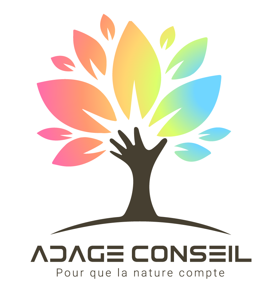 logo cabinet expert comptable ADAGE conseil Biarritz et capbreton